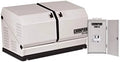 Champion Power Equipment 100177 8.5-kW Home Standby Generators with 50-Amp Outdoor-Rated Automatic Transfer Switchs
