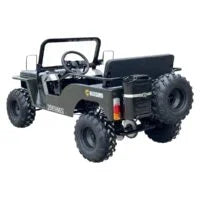 Massimo Minis 125 Go Karts 125cc 9hp