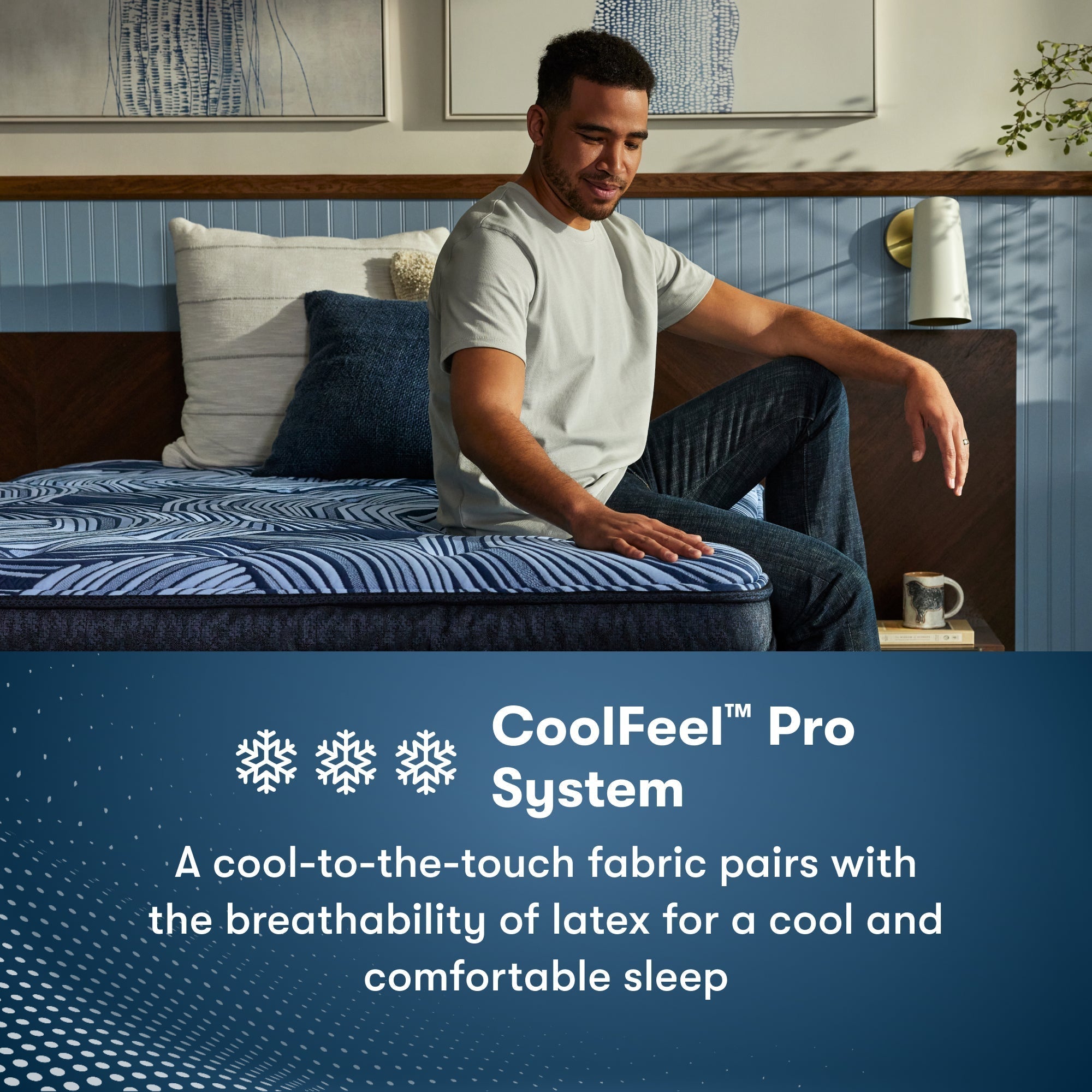 Serta Perfect Sleeper Pro Valais 15" Plush Pillow Top Mattress