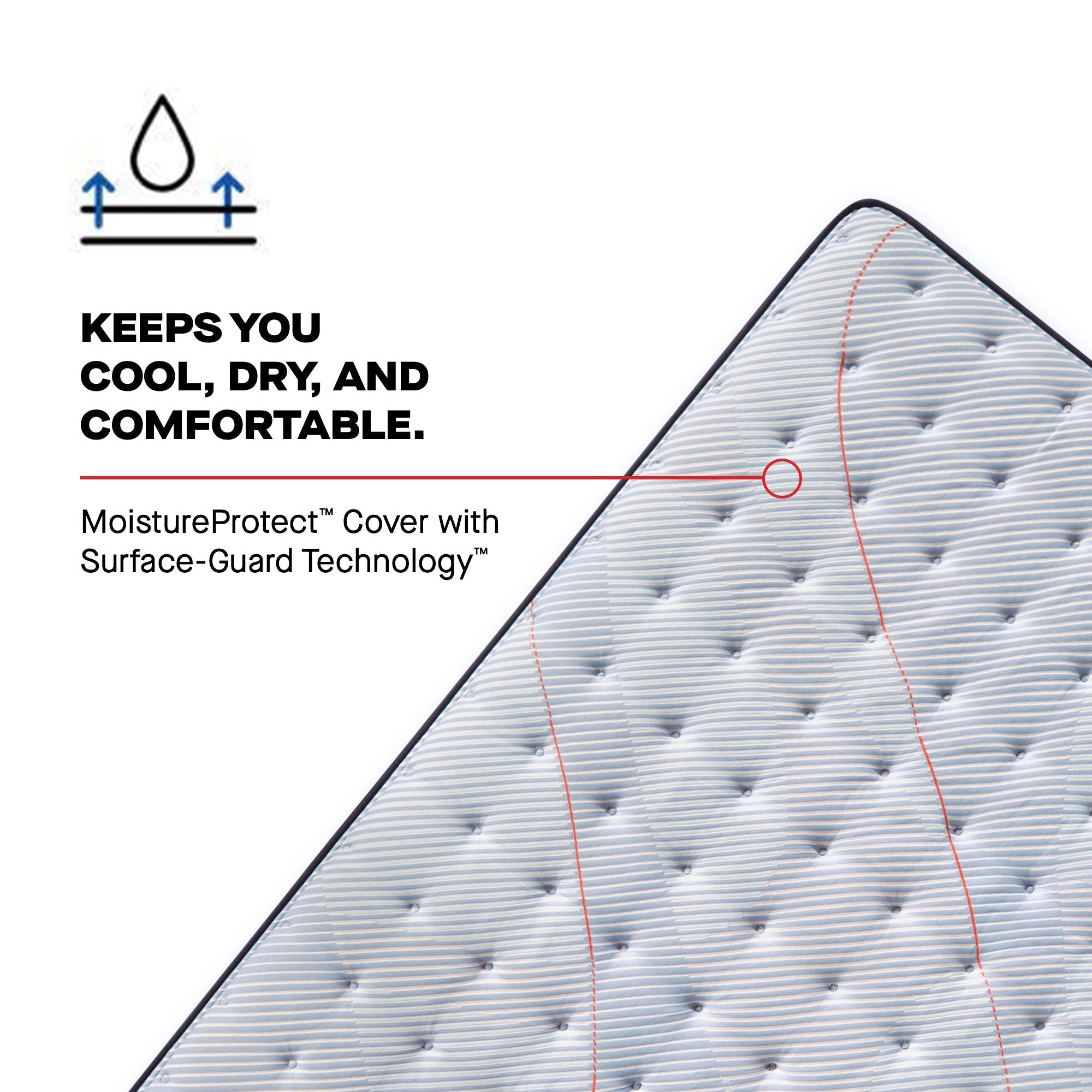 Sealy Posturepedic Spring Medina II 13" Medium Tight Top Mattress