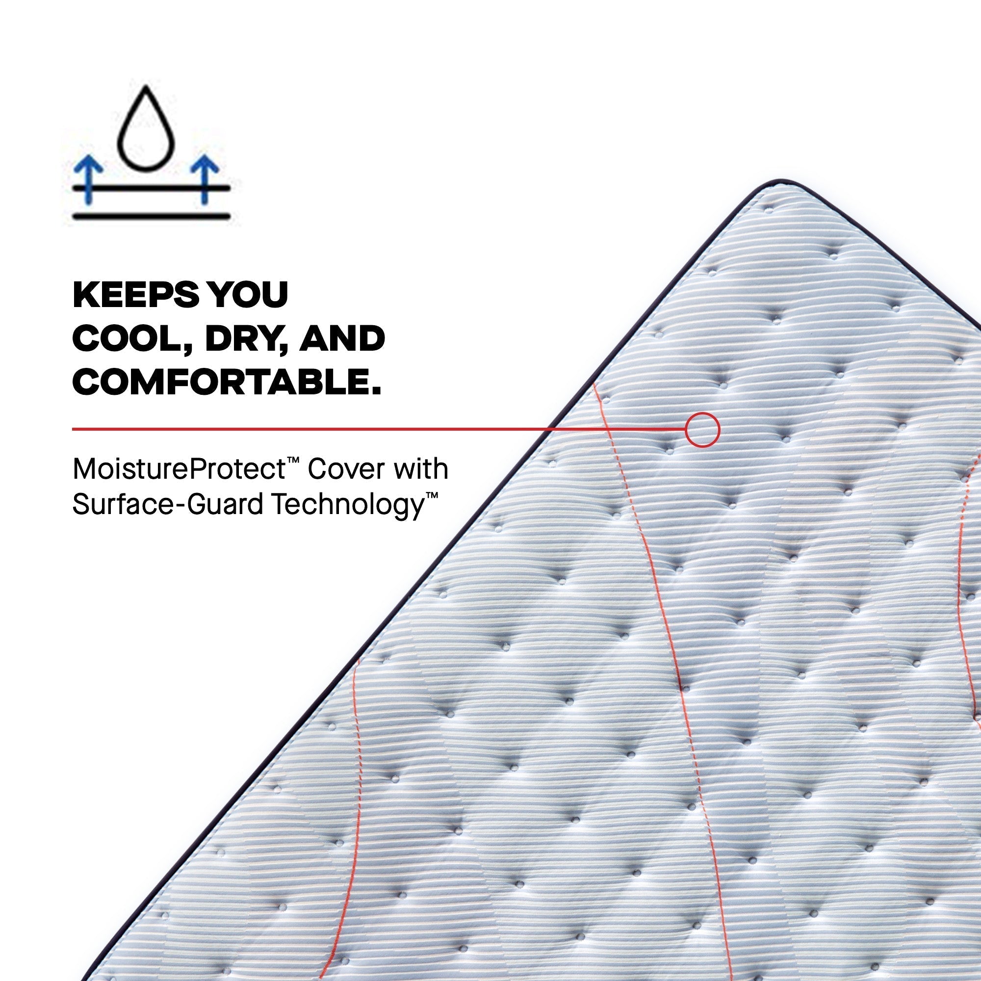 Sealy Posturepedic Spring Medina II 14" Medium Euro Pillowtop Mattress