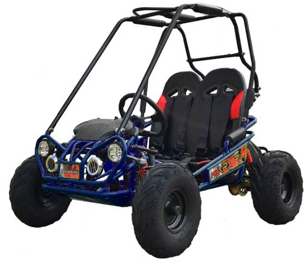 TrailMaster MINI XRX+ Go-Karts.