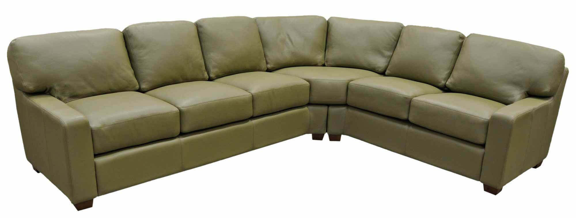 Albany Leather Sectional