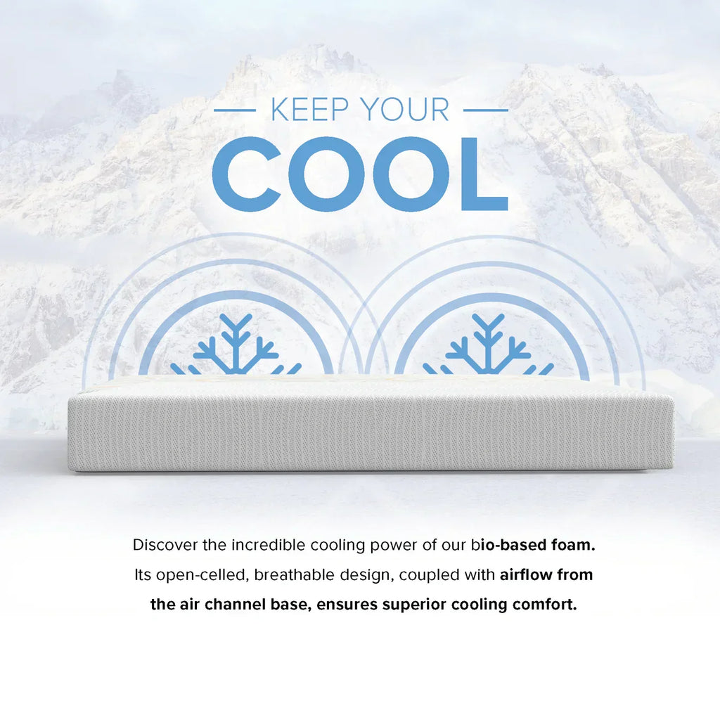 Bedplanet 10” EcoCore Origin Soy-Based Mattress – Eco-Friendly & Medium Firm