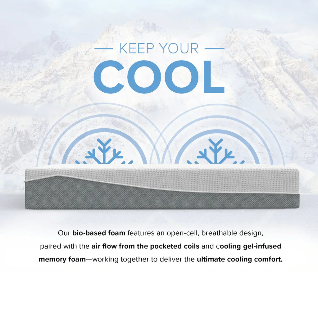 Bedplanet 12” EcoCore Hybrid Mattress – Soy-Based Foam & Pocketed Coils