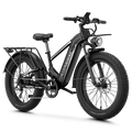 Aipas M2 Xterrain Ebike Aipas-M2-black Baskets.