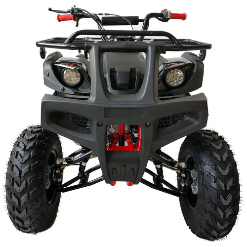 200 ATV Quad 4 Wheelers Utility Full Sizee Adult ATVs Big Youth ATVs